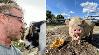 This Man Left His Career to Start an Animal Sanctuary | GoFundMe