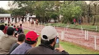 Zaina Kilombera ganadora de la gran revancha en el Hipódromo Central San Ignacio Mnes