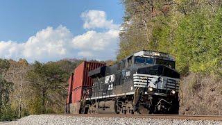 NS ES44AC 8005 Leads Intermodal 278 on 10/25/24