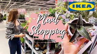 Ikea Plant Shopping