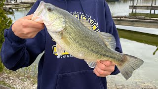 Lake Erie Marina Fishing Luna Pier