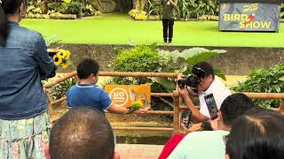 The Bird Show | Cebu Safari