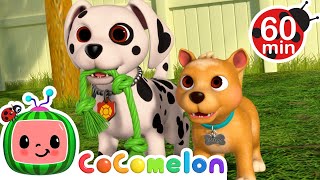 Puppy Play Date | Colorful CoComelon Nursery Rhymes | Sing Along Songs for Kids