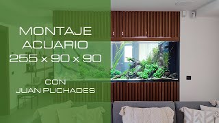 😱 2000L Nature Aquarium 😱 Montaje de un acuario de Aquascaping de  255 x 90 x 90 con Juan Puchades