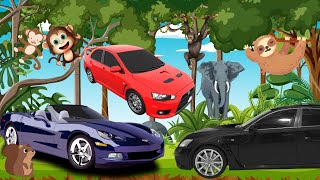 Cars Horn and Wild Animals