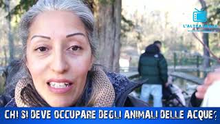 CHI SI DEVE OCCUPARE DEGLI ANIMALI DELLE ACQUE MINERALI?