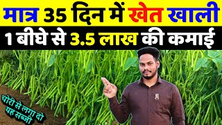 इस खेती में 15 हजार लगाकर 3 लाख कमाएं🌱Beans ki kheti kab kare🌱beans ki kheti kaise Karen