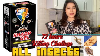 SHARPGEL COCKROACHES KILLER 💯 result Fair Review @Missbahria