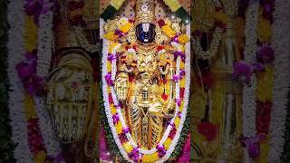 Sri Srinivasa| Sri Narayana| Sri Venkatachalpathy| Sri Govinda| Tirupati Balaji Darshanam