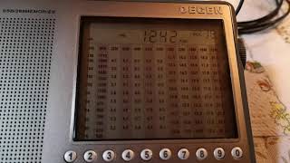 Comparison Malakhit DSP and Degen DE 1103 (loop ant. AN-200)