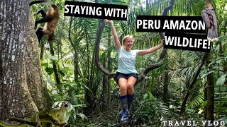 Solo Adventures in Peru: Amazon Wildlife 🐒 - Returning in 2025!