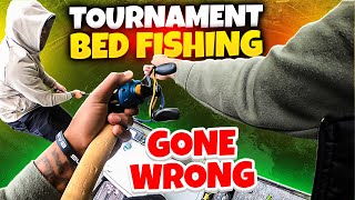 To Bed Fish or Not to Bed Fish? Tournament Dilemma!