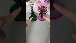 Thử chơi CÂY THÔNG NỞ HOA cao 15cm 😱 | Bò Cutie #diy #shorts