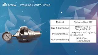 Direct Acting Pressure Reducing Regulator Valve