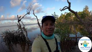 SANTUARIO De BLACK DRUM corvina negra en Florida EL TABASQUEÑO PESCA Y MAS