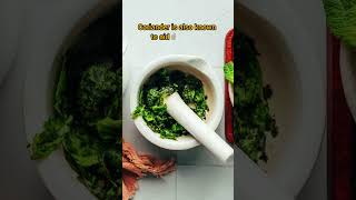 ❤️Coriander'Benifits #shortvideos #viralvideo #trending #nature #canvas #subhanallah