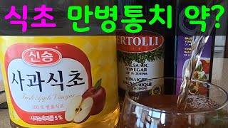 식초의 효능 | 연구근거, 활용법, 부작용 (아래 경고를 꼭 읽어보세요)