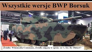 Wszystkie wersje BWP Borsuka