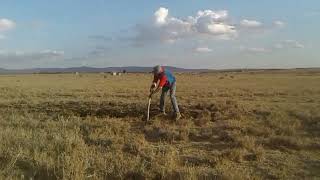 Farm preparation... Dry land