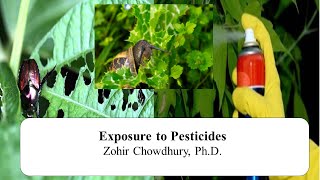 Exposure to Pesticides