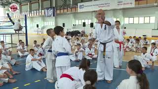 Shihan Francisco Filho