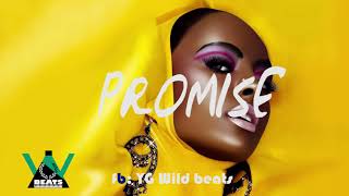 Afrobeat instrumental 2020(Promise) by YG Wild beat