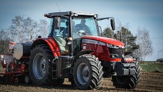 Nowe nabytki 2021! Massey Ferguson 7715S Gaspardo Wiosenny siew buraka