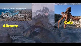 Alicante e Calp  Espanha apnea e pescasub   🦈Spearfishing 🦈Pesca Subacquea