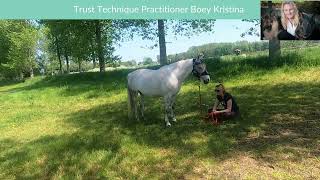 The Trust Technique Reviews - Practitioner Boey Kristina