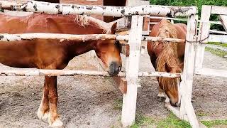 Поездка в Карелию