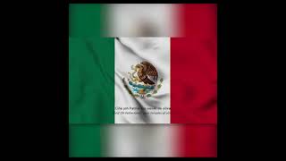 Mexico National Anthem | Himno Nacional Mexicano | 4K #shorts  #Allanthem