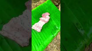 Thịt kiến 🐜  - Món ăn độc lạ #shorts #trending #food #tiktok