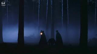 you're in the forbidden forest with harry and malfoy | Harry Potter inspired playlist