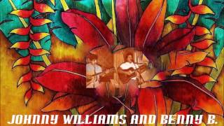 Lady Of My Heart -  J  Williams Jr  and Benny B