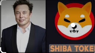 WHAT ELON MUSK HAS JUST PLANNED ABOUT SHIBA INU COIN! SHIB TO $1 CONFIRM - Shiba Inu Coin News Today