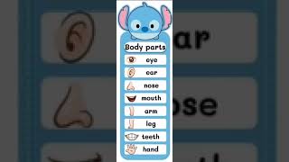 body parts vocabulary in english / body parts vocabulary for kids #shorts