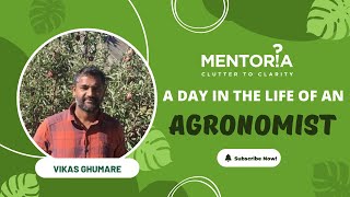 Become an Agronomist- Career in Agronomy & Agriculture | Mentoria