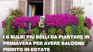 I 6 bulbi più belli da piantare in primavera per avere balcone fiorito in estate