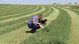 Alfalfa Farmers Diversify their Operation - America's Heartland