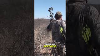 Surviving Oryx's Deadly Weapons A Thrilling Antelope vs Lions Encounter