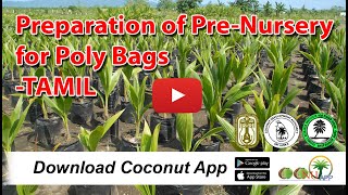 Preparation of Pre-Nursery for Poly Bags - TAMIL