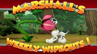 Marshall's Weekly Wipeouts! (Season 2 - Pups Jungle Trouble)