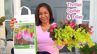 Plant a Container Garden for Part Sun, Part Shade| Planting Caladiums | #springporch23