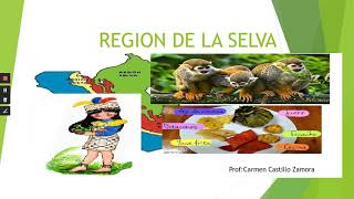 REGION DE LA SELVA