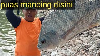 waduk Bajul mati ikan nila nya besar besar