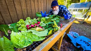 Winter homestead garden tour