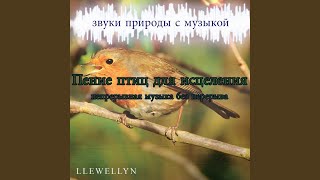 Пение птиц для исцеления: звуки природы с музыкой...