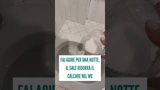 Se hai una ciotola di SALE GROSSO ti spiego perché dovresti versarlo nel WC