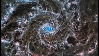 Journey Through the Stars: Flying Through Galaxies