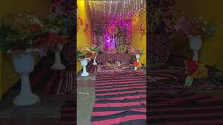 Saraswati puja Celebration || RAY GTRider is live!